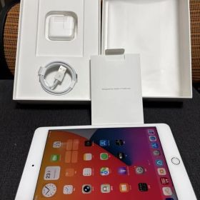 極美品 iPad mini5 第5世代 箱付き オマケ付き SIMフリー