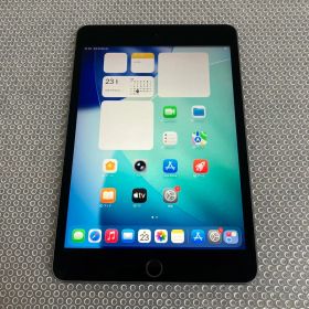 769【早い者勝ち】iPad mini5 第5世代 256GB SIMフリー☆