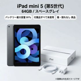 iPad mini 5 Wi-Fi 64GB 黒 付属品未使用 バッテリー91%