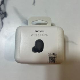 SONY WF-1000XM6 ブラック ワイヤレスイヤホン 本体