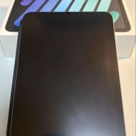 Apple iPad mini7本体