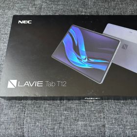 NEC PC-T1295DAS LAVIE T12 256GB ストームグレー