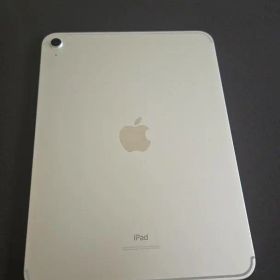 充放電回数15回 iPad第10世代 Cellular 64GB シルバー