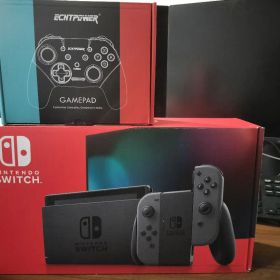 超美品 Nintendo Switch 本体+ゲームパッド(コントローラ未使用)