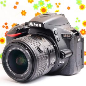 美品 ニコン Nikon D5500☆Wi-Fi搭載機♪☆高機能・高画質一眼レフ