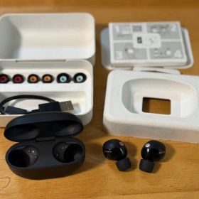 SONY WF-1000XM5(AZLA Foamax)
