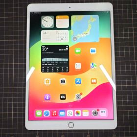 （微ジャンク）iPad Pro 10.5インチ 256GB Wi-Fiモデル
