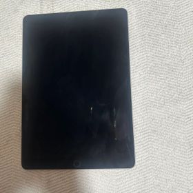 Apple iPad Pro 10.5インチ 本体