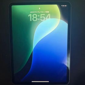 iPad Pro 11インチ第2世代128GB Cellular スペースグレイ