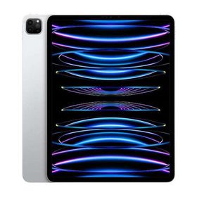 iPad Pro 12.9インチ 第6世代[256GB] Wi-Fiモデル シルバー【 …