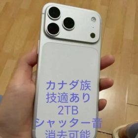 【7月4日まで】Apple iPhone 17 Pro Max 2TB KW版