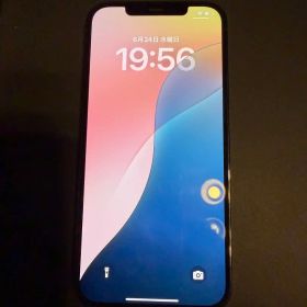 Apple iPhone 12 Pro Max パシフィックブルー 128GB