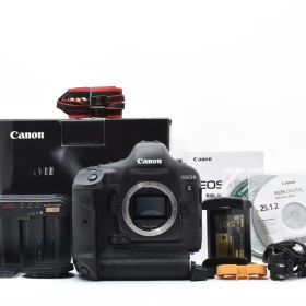 ★極上品★ 《ショット数 13643回》 キヤノン CANON EOS-1D X ボディ 《元箱付き》#2258