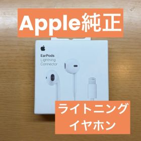 Apple EarPods with Lightning Connector