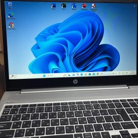 HP ProBook 450 G7 Windows11 Pro