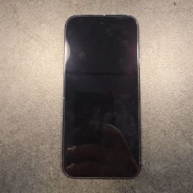 Google Pixel 9 Pro 本体