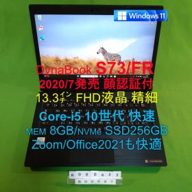 Dynabook S73/FR/i5 10210U/8G/SSD256G