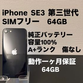 極美品 64GB Apple iPhone SE 3 第三世代 日本版 se3