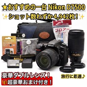 ❣️ショット数少❣️ Nikon D7500 ダブルレンズセット 高性能 望遠