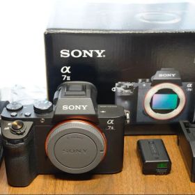 SONY α7II 本体 BC-TRW, NP-FW50付