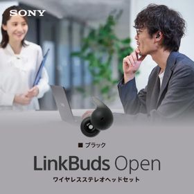 ソニー SONY 完全ワイヤレスイヤホン オープンイヤー Bluetooth LinkBuds WF-L910 BZ