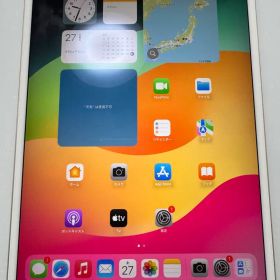 超美品 iPad Pro 10.5 インチ 64GB SIMフリー