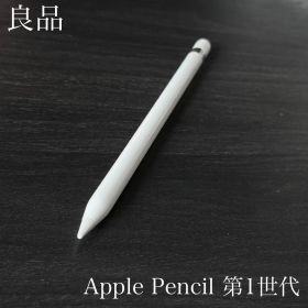 良品 正常動作確認済み Apple Pencil 第1世代 R10