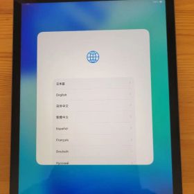 iPad 第8世代 Wi-Fi+Cellular 128GB SIMフリー