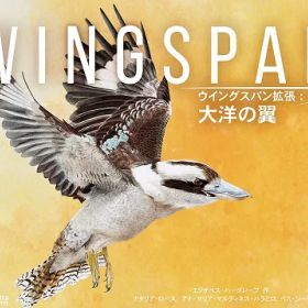 ウイングスパン拡張:大洋の翼 完全日本語版【新品】 ボードゲーム アナログゲーム テーブルゲーム ボドゲ