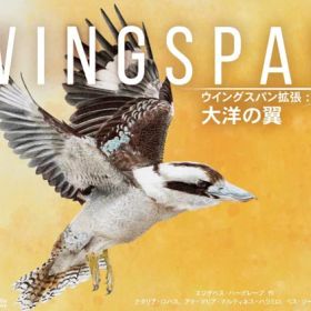 アークライト ウイングスパン 大洋の翼 拡張版 ボードゲーム ボドゲ 楽天 楽天市場