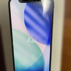 Apple iPhone 12 mini 本体