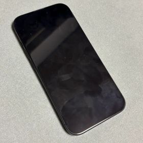 Apple iPhone 15 128Gb ジャンク