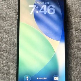[ジャンク]iPhone 15 128GB（部品取り等に）