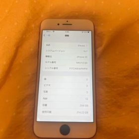 Apple iPhone SE 256GB 本体