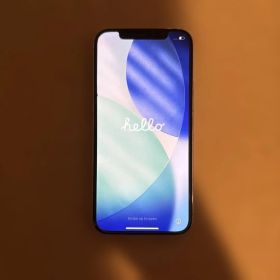 Apple iPhone 12 Pro シルバー 本体