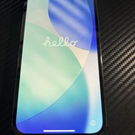 【ジャンク品】Apple iPhone 12 Pro 256GB 本体のみ