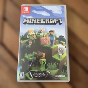 Minecraft & Mario Kart Deluxe セット