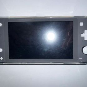 Nintendo Switch Lite 本体 グレー