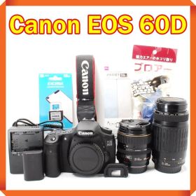 Canon EOS 60D 一眼レフカメラ スマホ転送 ダブルレンズセット