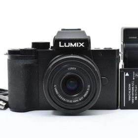 Panasonic Lumix DC-G100 レンズキット ミラーレスカメラ