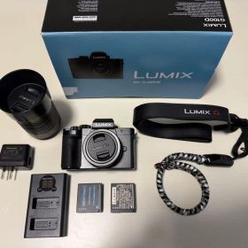 LUMIXDC-G100DW