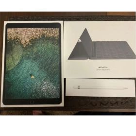 iPad Pro 10.5 256GB SV シルバー ApplePencil