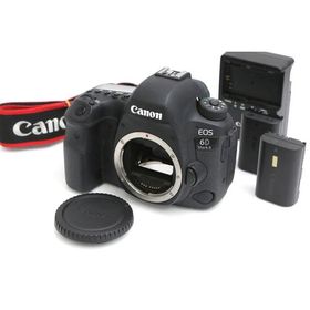 【全額返金保証】美品｜キヤノン EOS 6D Mark II ボディ CA01-B6358-2Q2B