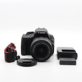Canon EOS Kiss X7 レンズキット 一眼レフ 〔キヤノン EF マウント〕