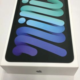 未使用 iPad mini A17 Pro 128GB スペースグレイ Wi‑Fi