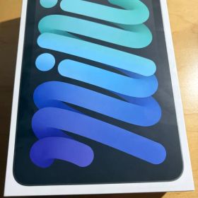 【美品】Apple iPad mini A17 Pro 128GB Wi-Fi