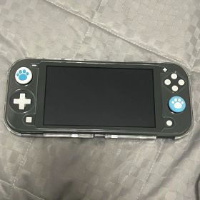 Nintendo Switch Light