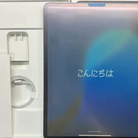 Apple iPad Pro 12.9インチ 第3世代 本体