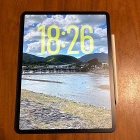 iPad Pro 12.9㌅第4世代 Wi-Fi+セルラー 256G 美品