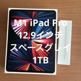 iPad Pro 12.9-inch (第5世代) スペースグレイ1TB